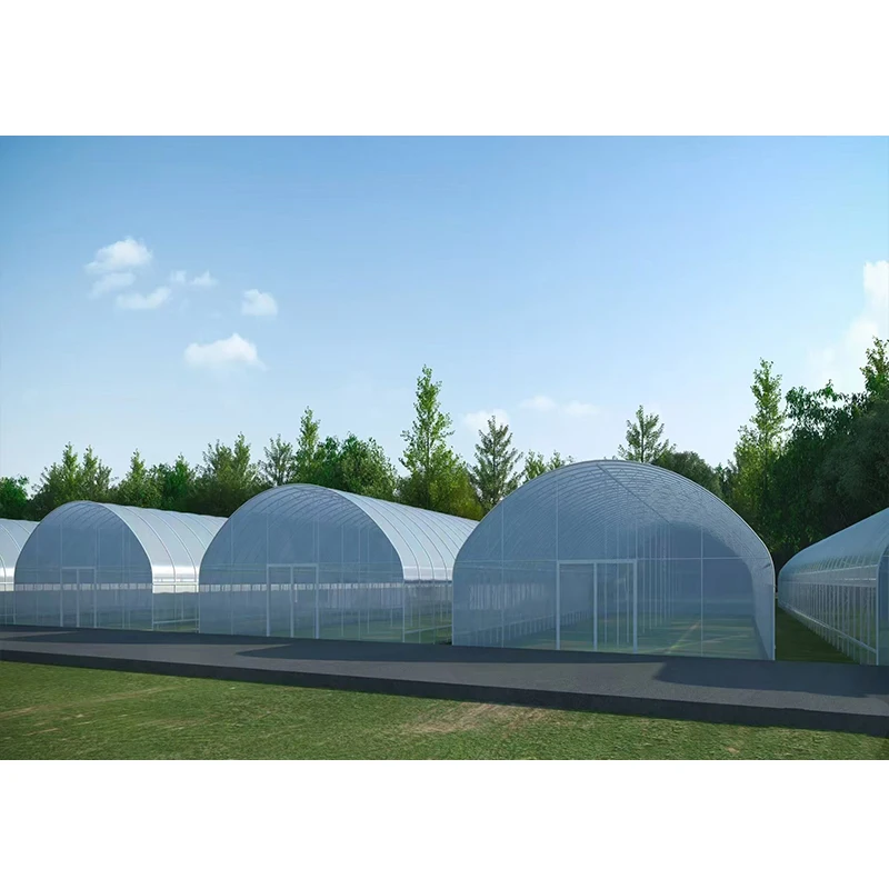 #   Niska Kosztowa Farmy Jedno – Agriculture Farm House recenzja i cena