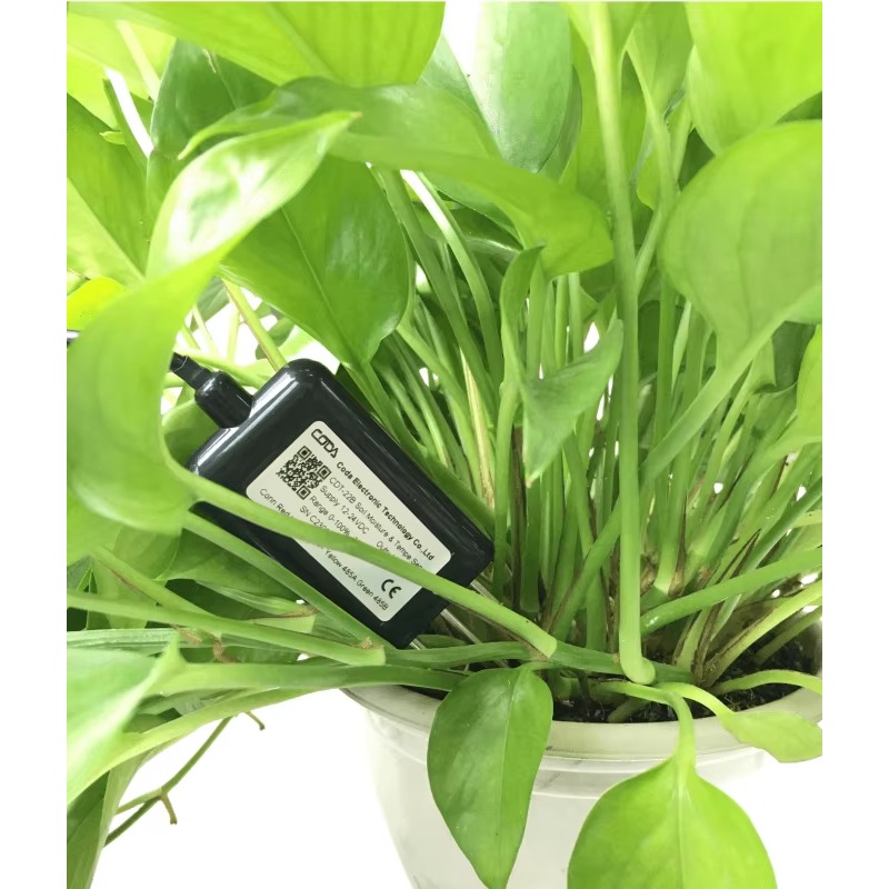 Przenośny miernik wilgotności  – Soil Moisture Sensor recenzja i cena