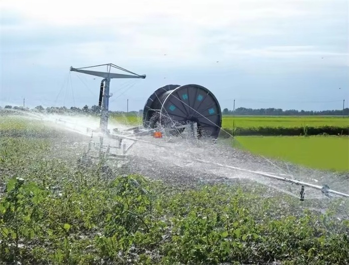 Fabryczne zaopatrzenie: duże z – Agriculture Farming Technology recenzja i cena