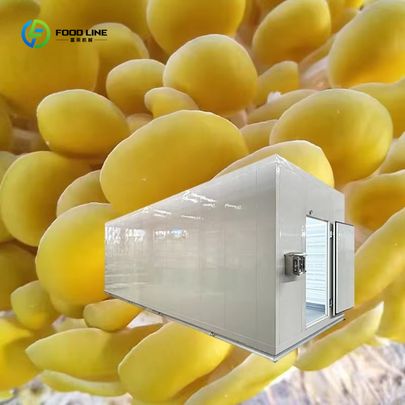 Inteligentna kapsuła do uprawy – Agriculture Farming Technology recenzja i cena